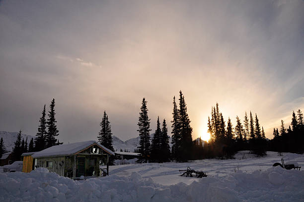 istock Arctic Cabin in the Winter Moonlight Alaska 516046852