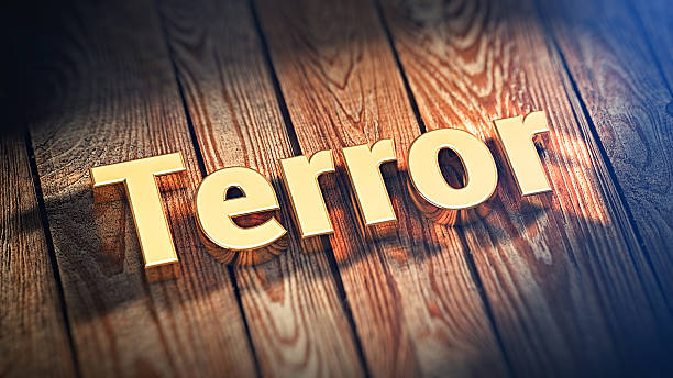 istock Word Terror on wood planks 516047492