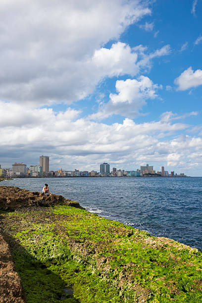 kobieta siedzi przez morze w hawanie, kuba - capital cities retaining wall malecon coastline zdjęcia i obrazy z banku zdjęć