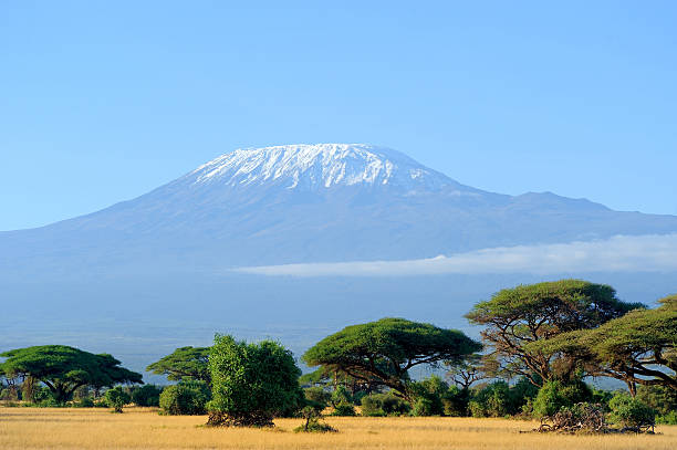 istock Snow on top of Mount Kilimanjaro 516060787