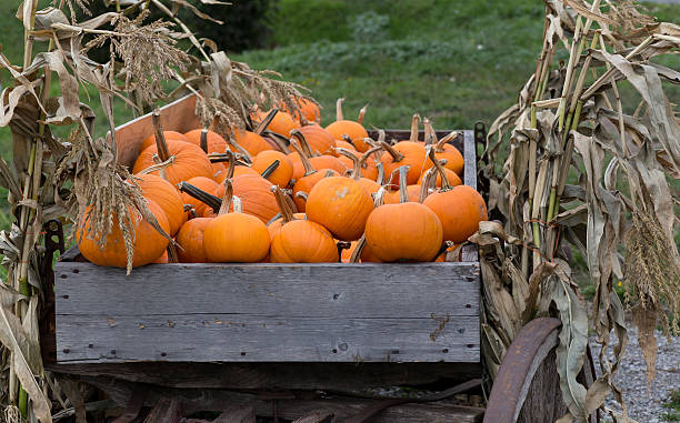 istock Wagon of pumpkins 516061833