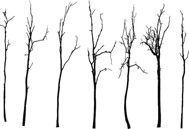 Vector illustration of vector black silhouette of a bare tree