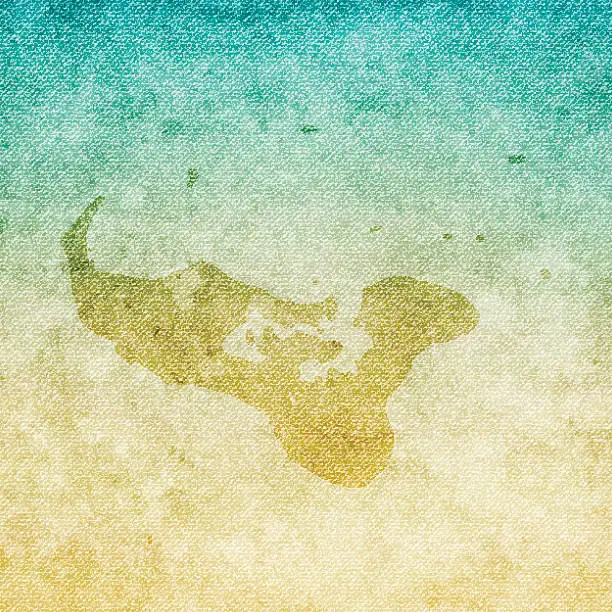 Vector illustration of Tonga Map on grunge Canvas Background