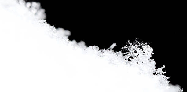 istock Snow crystals with many branches on black panorama 516065536