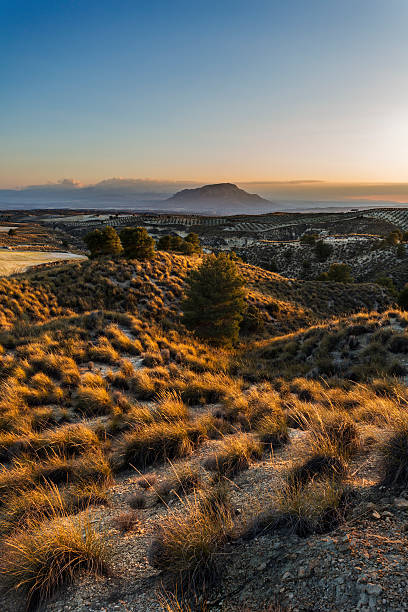 istock Landscape at sunset. Comarca de Baza, Granada, Andalusia, Spain, Europe. 516070270