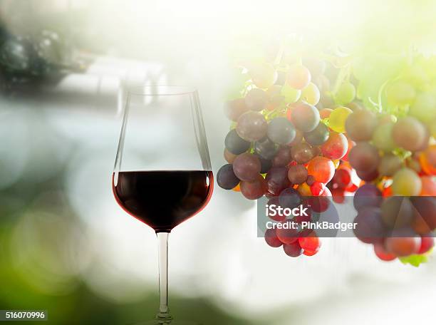 Red Wine And Grapes Stock Photo - Download Image Now - Agriculture, Alcohol - Drink, Bottle