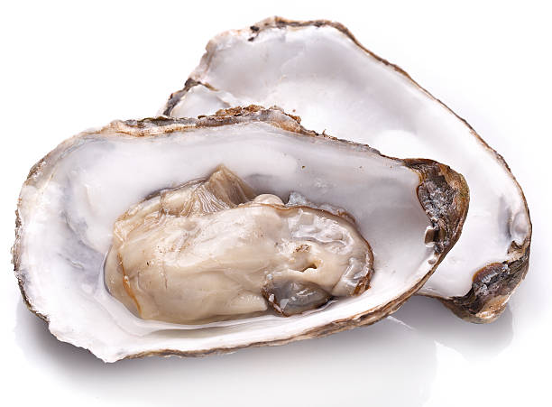 crudo oyster e limone su sfondo bianco. - prepared shellfish foto e immagini stock