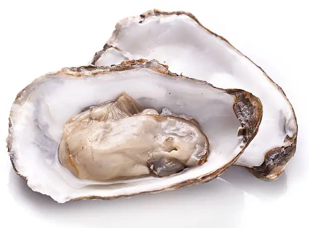 Photo of Raw oyster and lemon on a whte background.