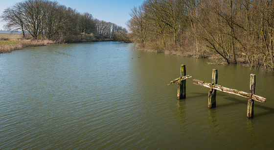 Dutch landscape with a wide creek with rotten wooden bollards and trees with bare branches on the banks. It is a sunny day at the end of the winter season.