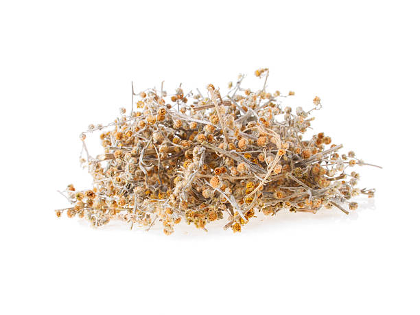 istock Dried Wormwood Herb Staple 516077081