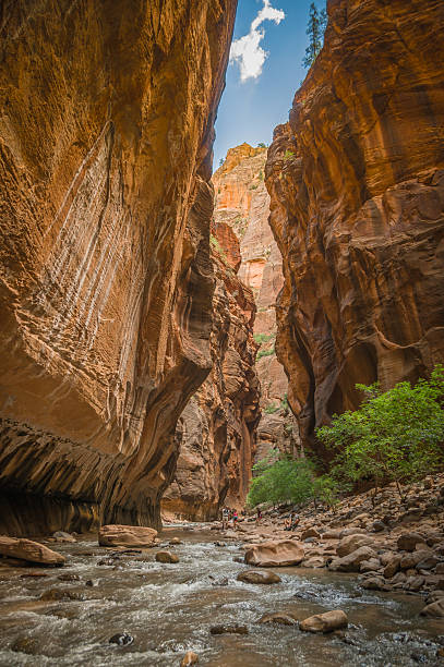 istock virgin river in zion national park utah 516077251