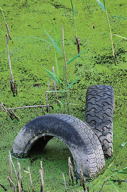 jeté vieux pneus, souillée pond flaque, la pollution de l'eau concept, verticale - sweet grass photos photos et images de collection