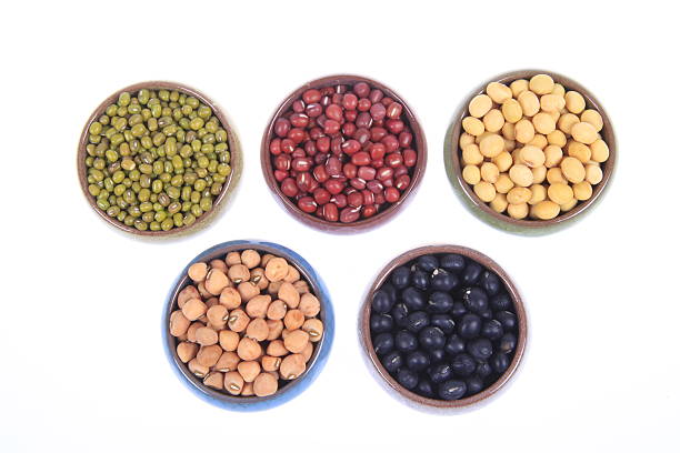 istock collection of legumes 516077848