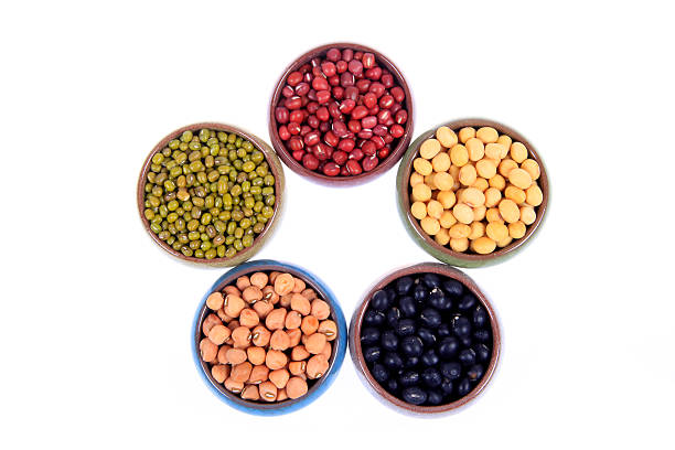 istock collection of legumes 516077898