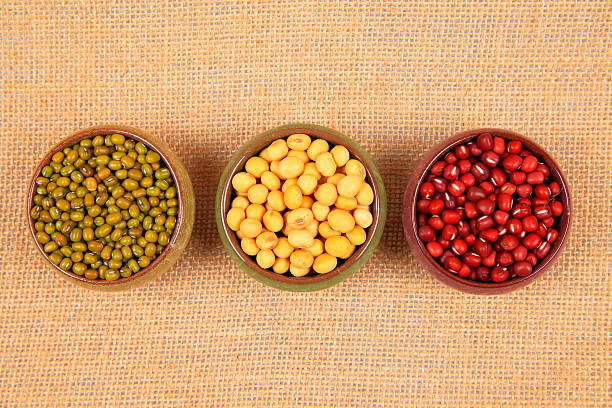 istock collection of legumes 516078428