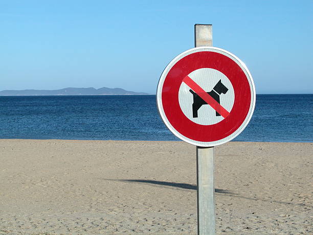 istock No dog sign on the beach 516079019