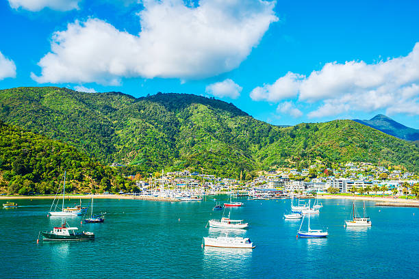 picton harbour - vibrant color mountain bay beach photos et images de collection