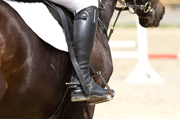 istock Dressage horse 516082405