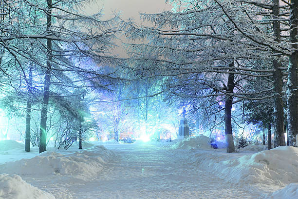 istock night winter landscape in the city 516083943