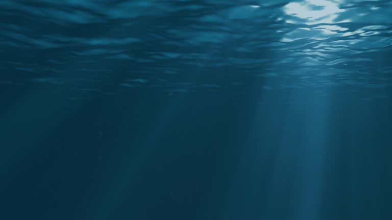 Fondo bajo el agua 2 descarga Motion Graphics y fondos gratis Naturaleza Fondo bajo el agua 2 descarga Motion Graphics y fondos gratis Naturaleza