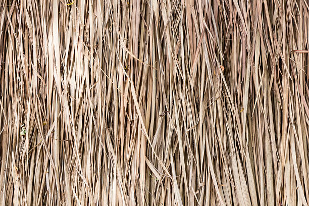 istock Thatch roof background, hay or dry grass background. 516099282