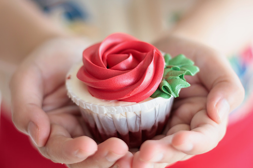 hand hold valentines red rose cupcake
