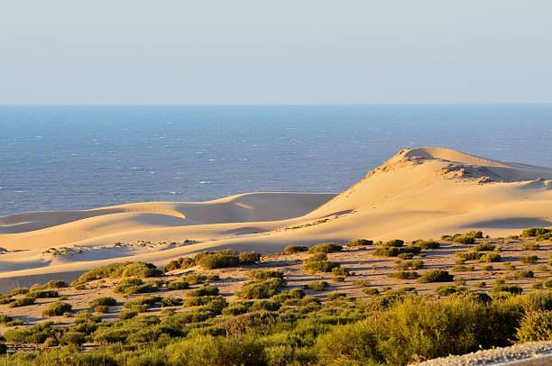 Agadir Dune stock photo