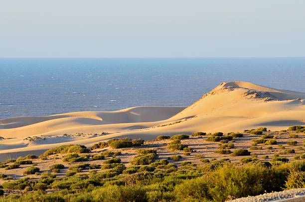 agadir diuna - agadir zdjęcia i obrazy z banku zdjęć