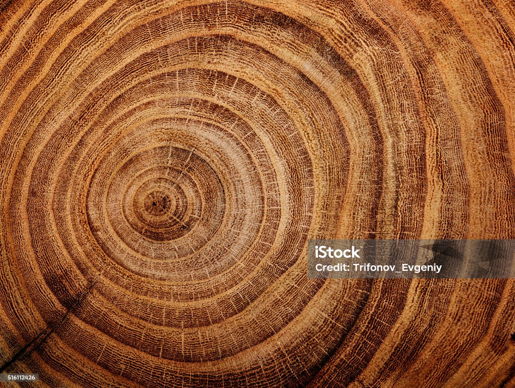 Fond en bois - Photo de En bois libre de droits