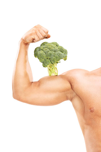 Muscular arm with a broccoli on the bicep Studio shot of a muscular arm with a broccoli on the bicep isolated on white background eating body building muscular build vegetable stock pictures, royalty-free photos & images