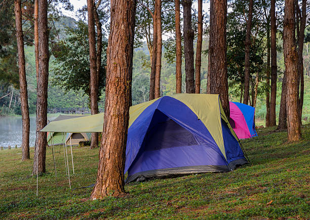 istock Camping tents near lake 516114118
