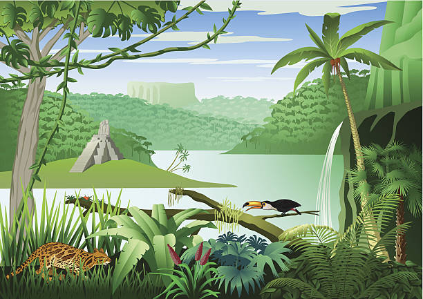 Jungle landscape at a river with many plants and animals Jungle landscape in south america with a big river and table mountains. In the foreground an ocelot, a toucan and many plants. Left side in the background, a Mayan temple. Download contains EPS 8, AI 8, PDF, JPEG (8434 x 5964px). cape peninsula stock illustrations