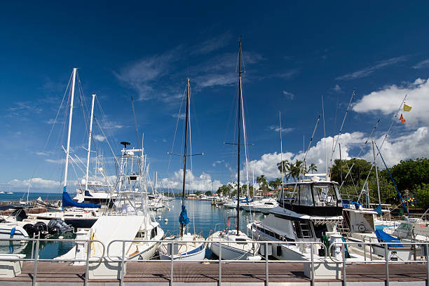 istock Lahaina Harbor, Maui, Hawaii 516115787