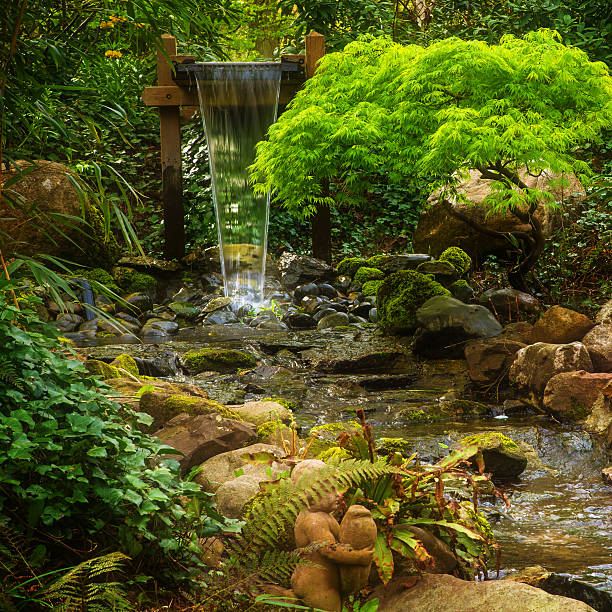 Close Up Of Waterfall In forest