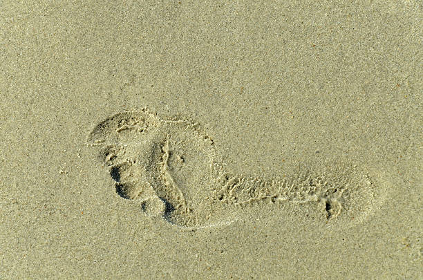 istock Footprint on the Baltic Sea beach 516117449