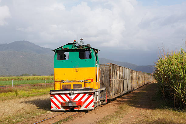 Narrow-gauge heritage railway, Mokra Gora village, Serbia