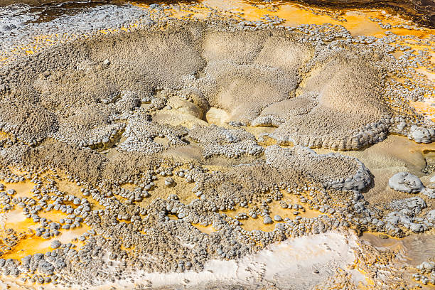 istock Yellowstone National Park 516118271