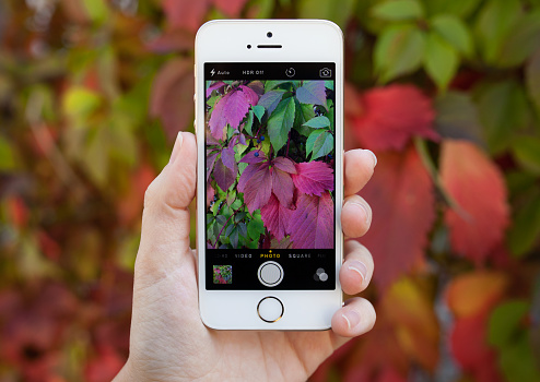 Alushta, Russia - September 30, 2014: Woman holding a iPhone 5 S with social networking service Instagram on the screen. iPhone was created and developed by the Apple inc.