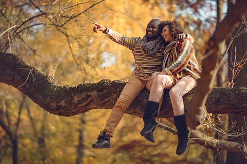 Smiling African American man embracing his girlfriend in the autumn park and pointing at something in the distance.
