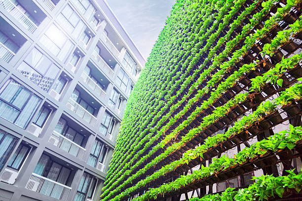 Wall of a building covered with plants,  plants grow in special hydroponic pots