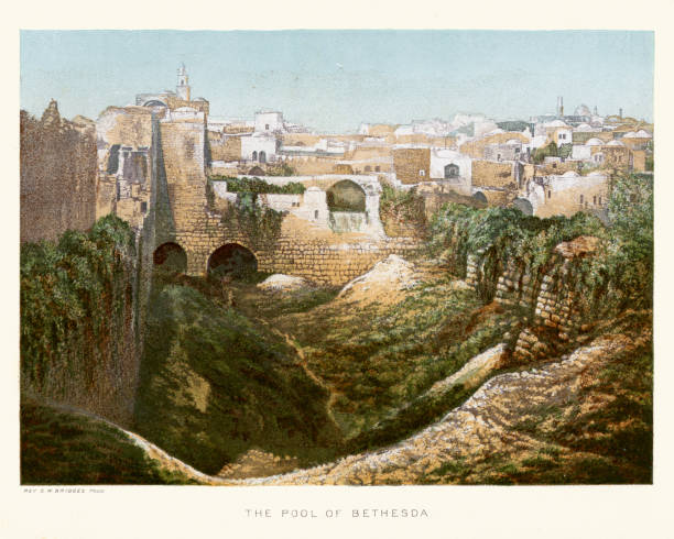 70+ Piscina Di Betzaeta Foto stock, immagini e fotografie royaltyfree