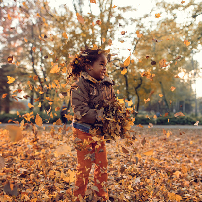 Happy African American little girl having fun in autumn park and playing with leaves.