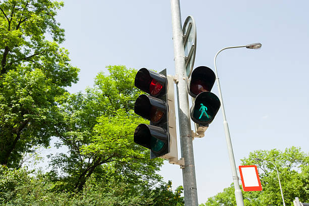 istock Traffic signal and street light against clear sky 516139949