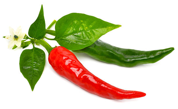 Red and green hot peppers with leaf