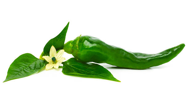 istock Green cayenne chili peppers isolated on the white background 516140733