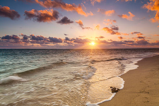 istock Paradise sandy beach with palm trees and mountains at sunset. 516141802