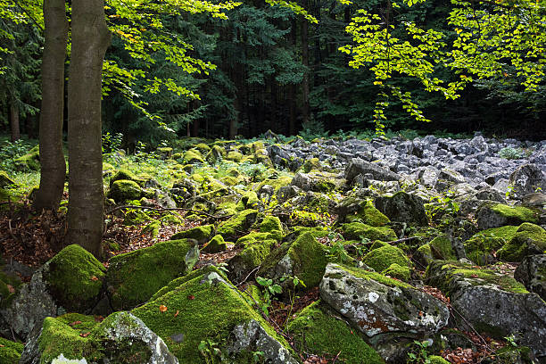 istock Andesite stone sea in Slovak republic 516142183