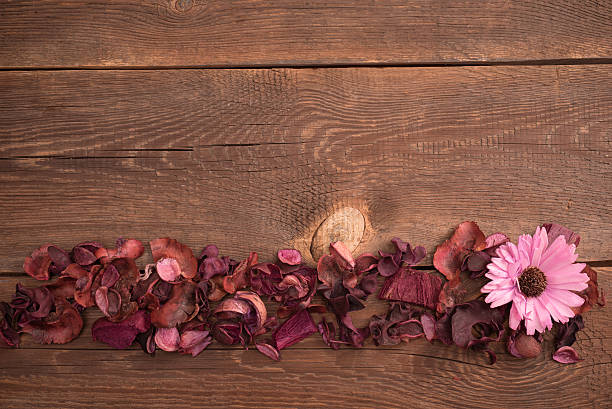 istock dried flowers on the wooden old table 516142952