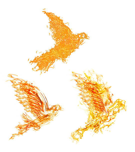 istock group of three flame flying doves on white 516143120