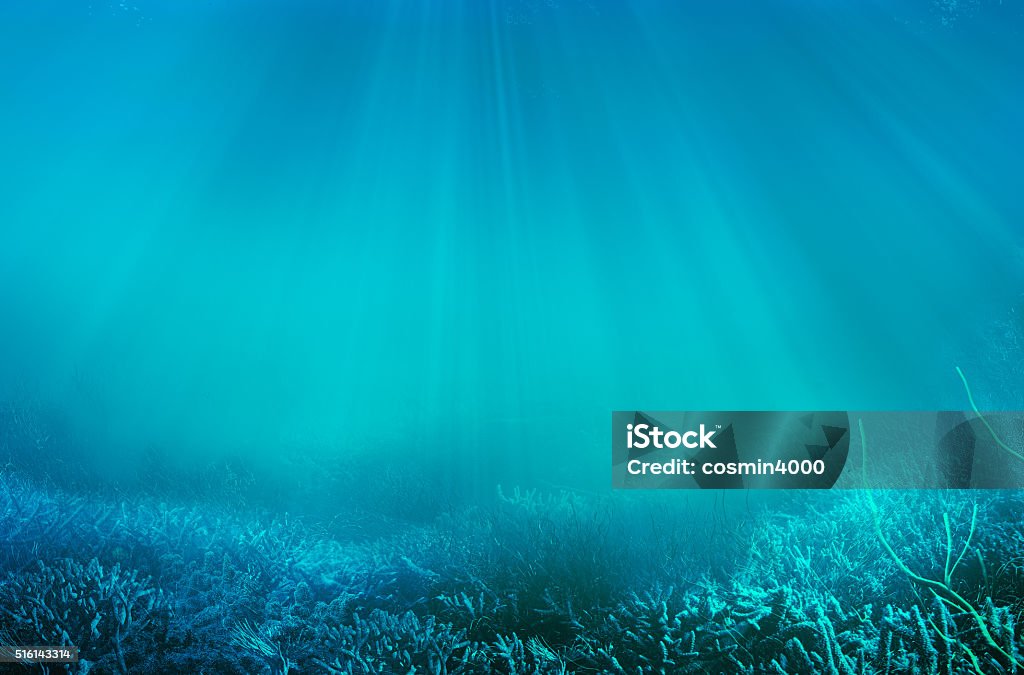 Unterwasser - Lizenzfrei Unterwasseraufnahme Stock-Foto